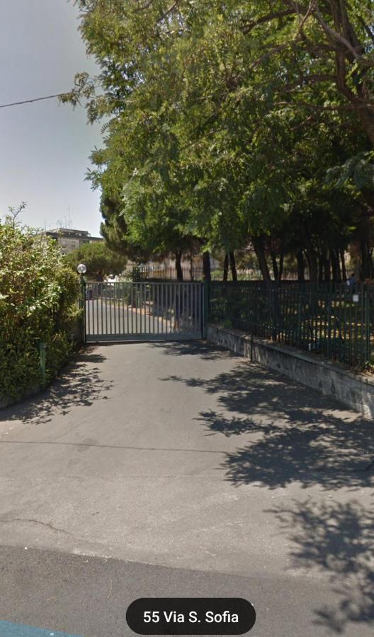 Etna Park - Nature & Parking * Catane